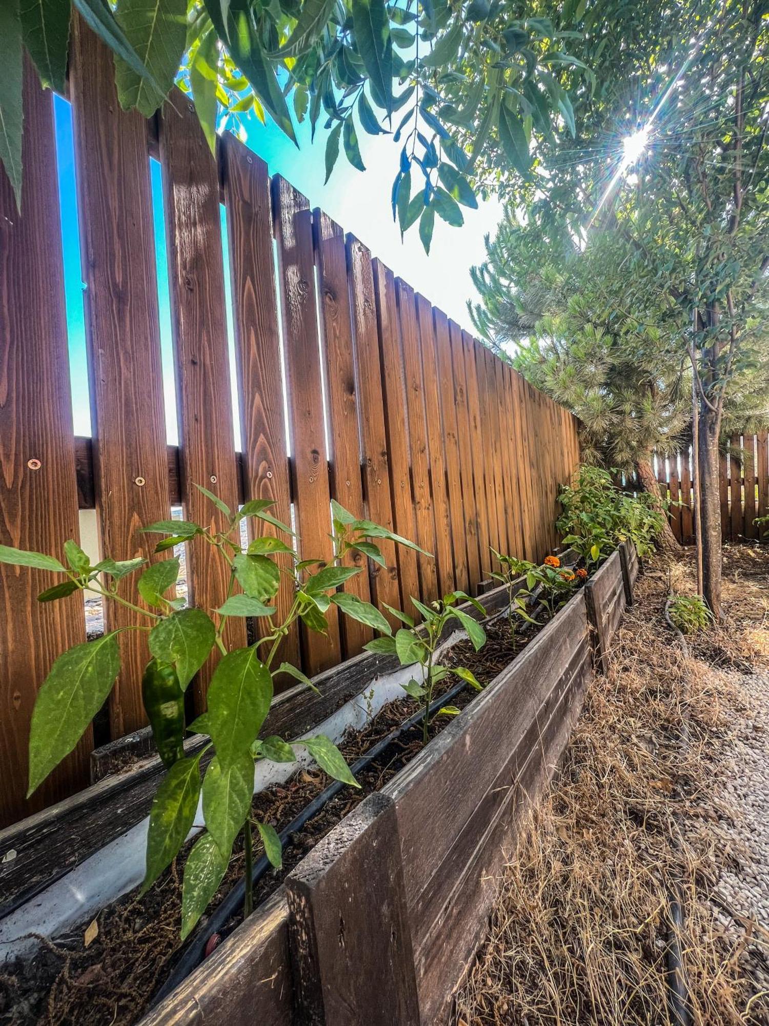 Lana'S Guest House Hurfeish Exterior photo